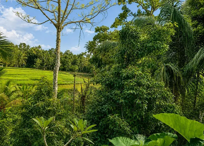 Edwin's Parque de Campismo Selemadeg